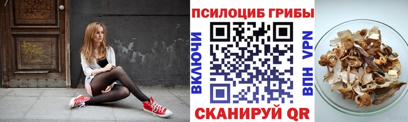 наркошоп  Ивдель  KRAKEN как войти  Псилоцибиновые грибы Magic Shrooms 