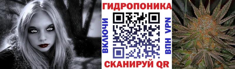 Бошки марихуана Bruce Banner  Ивдель 